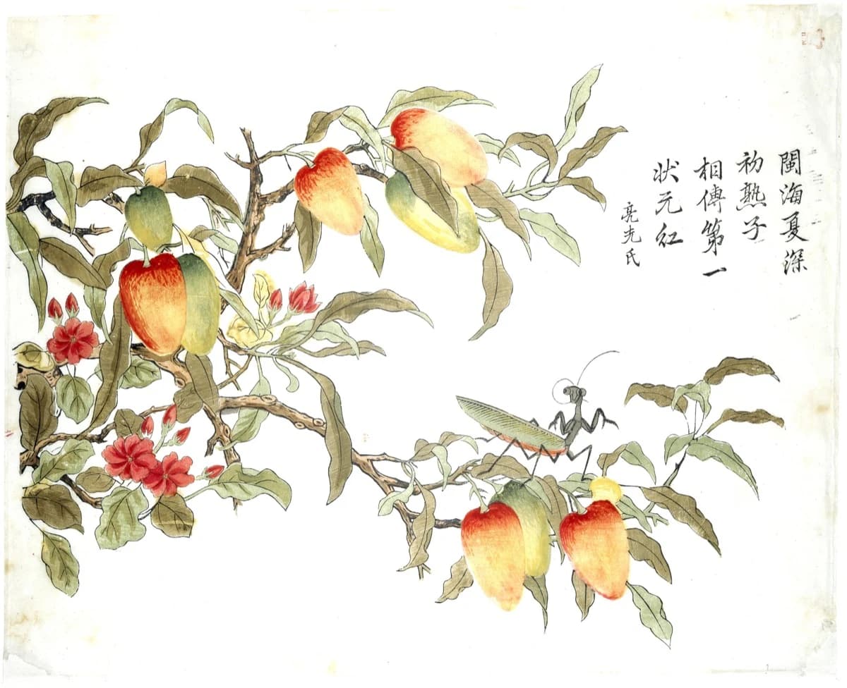 Ding Liangxian, Arbutus and Grasshopper, c. 1735–50 — ripening fruit graded red to yellow inside one carved shape, with half the sheet left bare